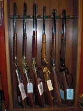 Shop Case Long Guns image